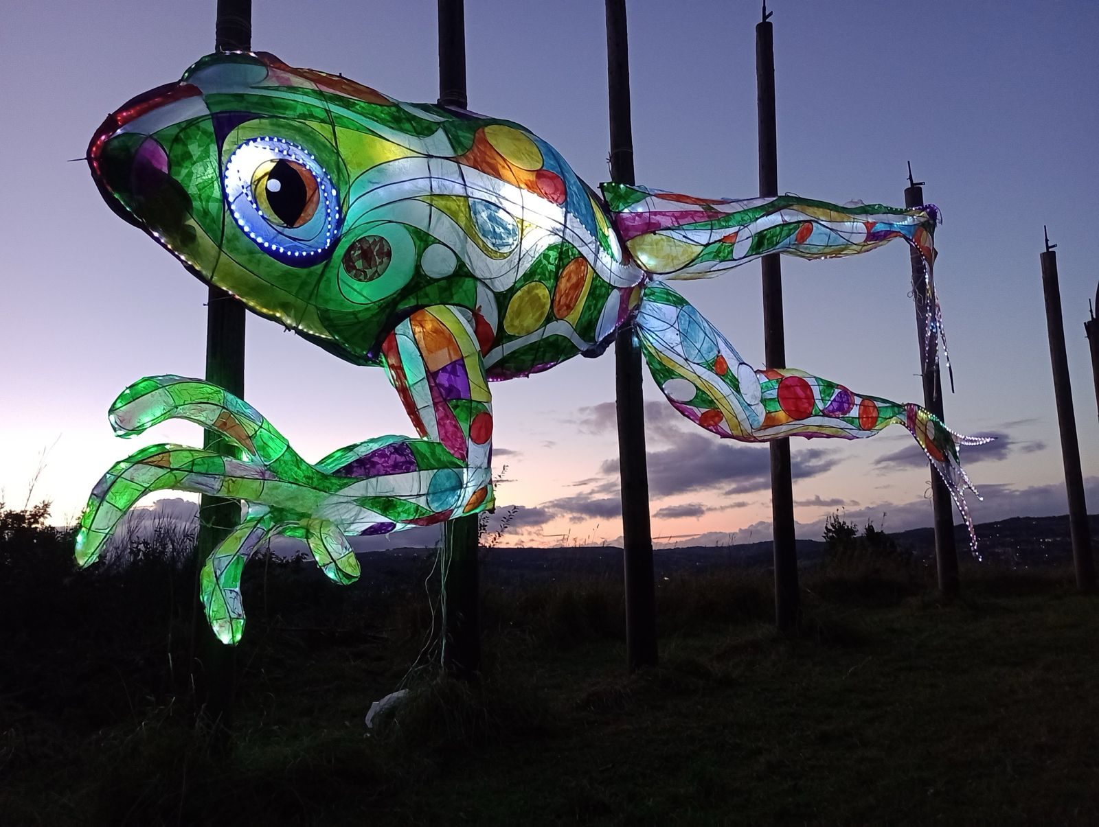 Giant frog puppet by Jo Veal